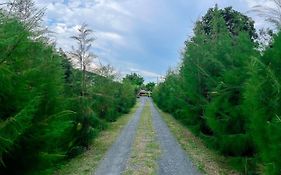 North Pine Forest Homestay บ้านไม้สนโฮมสเตย์