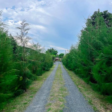 North Pine Forest Homestay บ้านไม้สนโฮมสเตย์ บ้านแม่โป่ง ภายนอก รูปภาพ