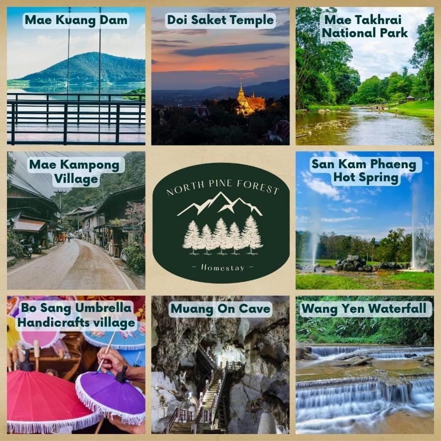 North Pine Forest Homestay บ้านไม้สนโฮมสเตย์ บ้านแม่โป่ง ภายนอก รูปภาพ