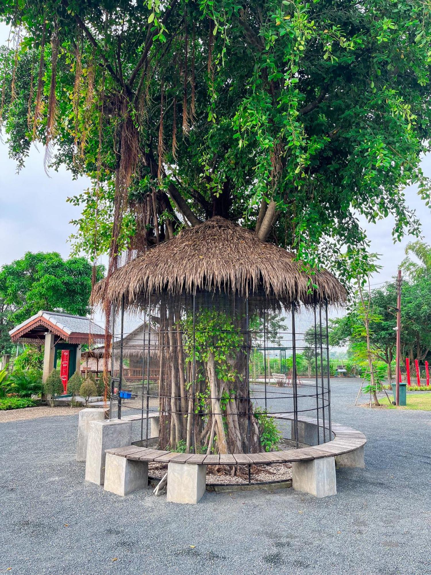 North Pine Forest Homestay บ้านไม้สนโฮมสเตย์ บ้านแม่โป่ง ภายนอก รูปภาพ