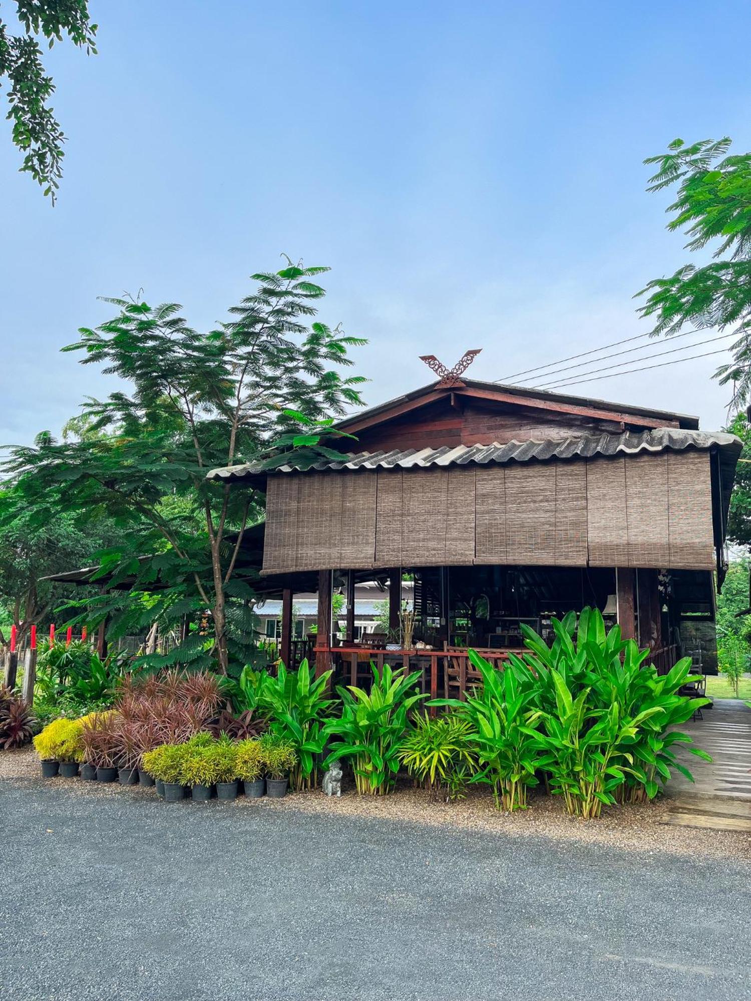 North Pine Forest Homestay บ้านไม้สนโฮมสเตย์ บ้านแม่โป่ง ภายนอก รูปภาพ