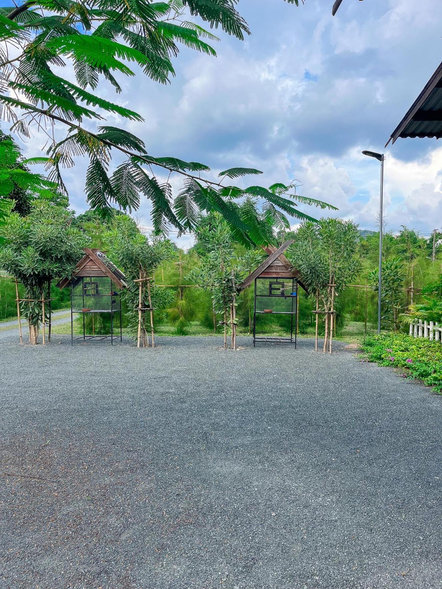 North Pine Forest Homestay บ้านไม้สนโฮมสเตย์ บ้านแม่โป่ง ภายนอก รูปภาพ