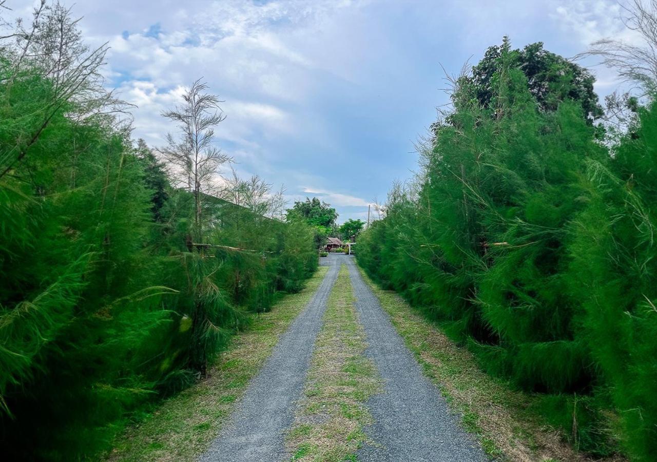 North Pine Forest Homestay บ้านไม้สนโฮมสเตย์ บ้านแม่โป่ง ภายนอก รูปภาพ