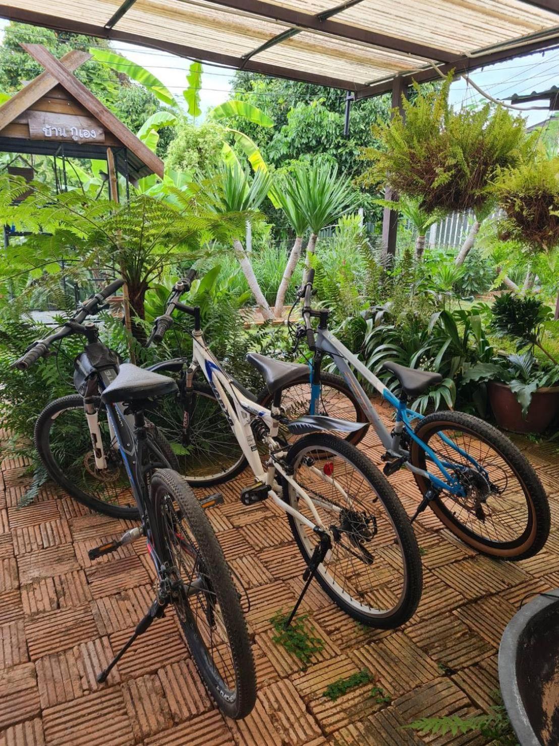 North Pine Forest Homestay บ้านไม้สนโฮมสเตย์ บ้านแม่โป่ง ภายนอก รูปภาพ